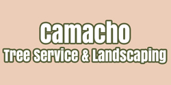 Camacho Tree Service & Landscaping